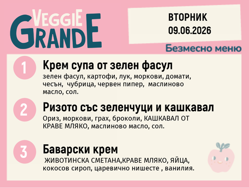 [DY.05.26.10415] Меню 09.06 безмесно 300гр. 