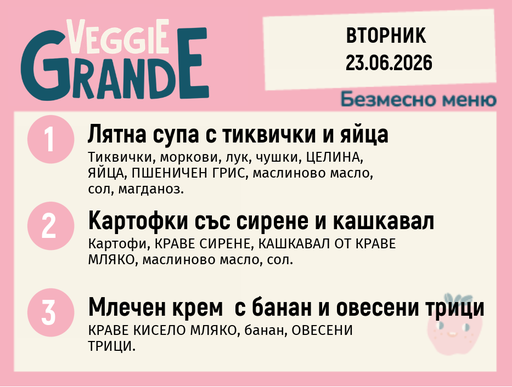 [DY.05.26.10439] Меню 23.06 безмесно 300гр. 