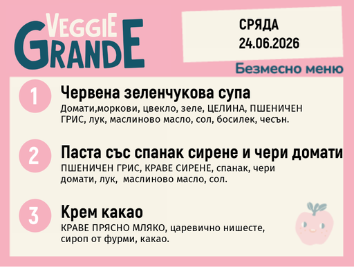[DY.05.26.10441] Меню 24.06 безмесно 300гр.