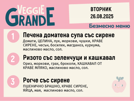 [DY.07.25.6070] Меню 26.08 безмесно 300гр.