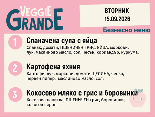 [DY.08.26.11929] Меню 15.09 безмесно 300гр.