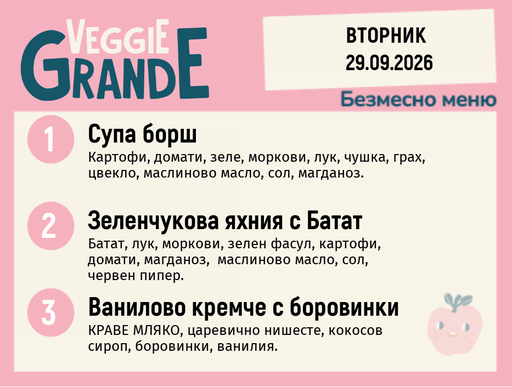 [DY.08.26.11953] Меню 29.09 безмесно 300гр.
