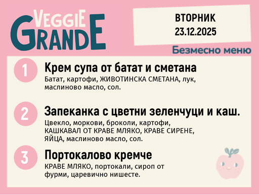 [DY.11.25.7678] Меню 23.12 безмесно 300гр.
