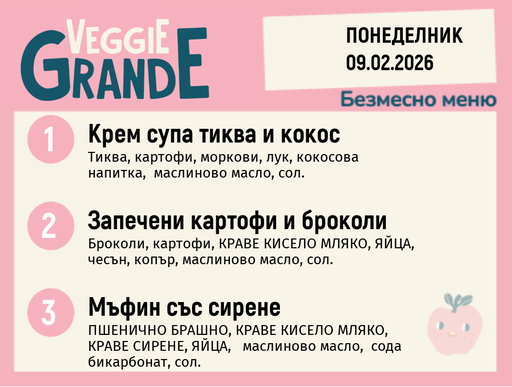 [DY.01.26.8703] Меню 09.02 безмесно 300гр.