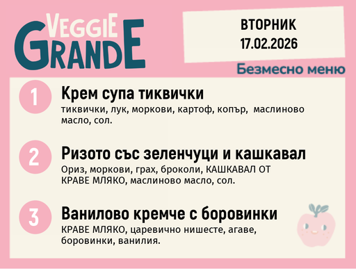 [DY.01.26.8717] Меню 17.02 безмесно 300гр.