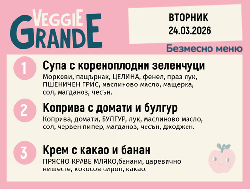 [DY.02.26.9173] Меню 24.03 безмесно 300гр.